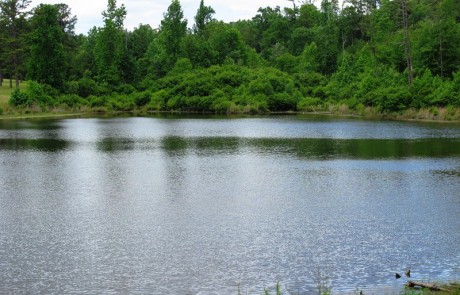 Austin Sumbry Park