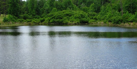 Austin Sumbry Park