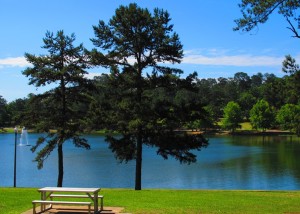 Picnic Table